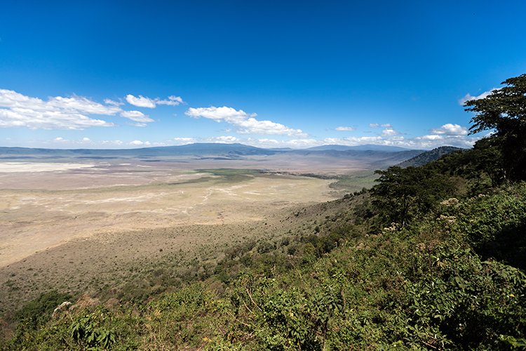 TZA ARU Ngorongoro 2016DEC23 017